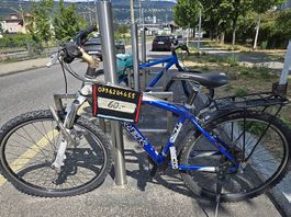 MTB Trek 26Zoll 