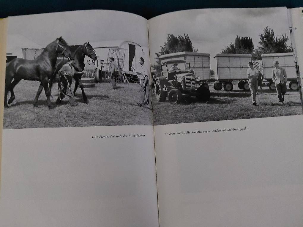Libri: Zirkus Knie von Jo Wiedmer. – Usato da Zollikerberg venduto da Inhal 1
