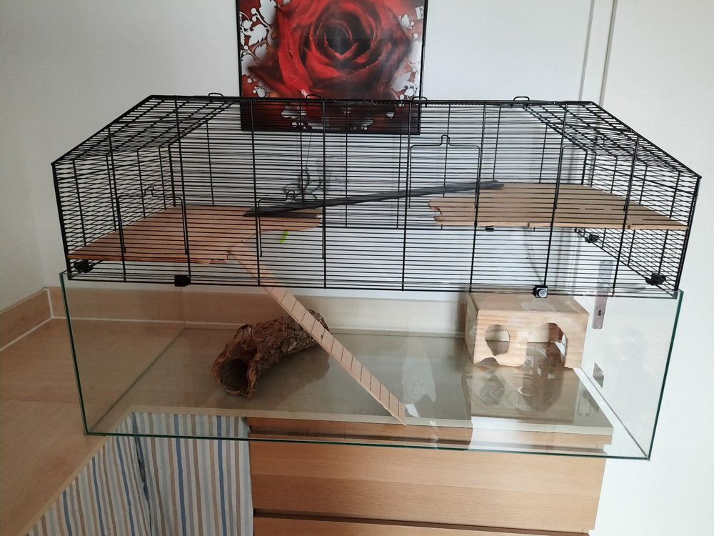 Skyline Figo 120 Nagerkäfig 114x55x65cm | Kaufen auf Ricardo