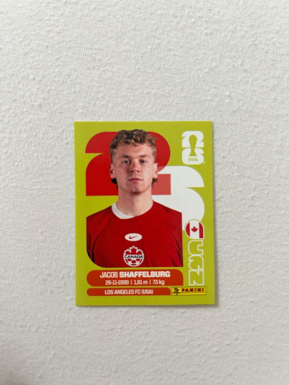 Panini Cartes à collectionner: Panini CAN 14 – D'occasion à Steckborn par DavidLM
