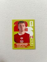 Panini CAN 14