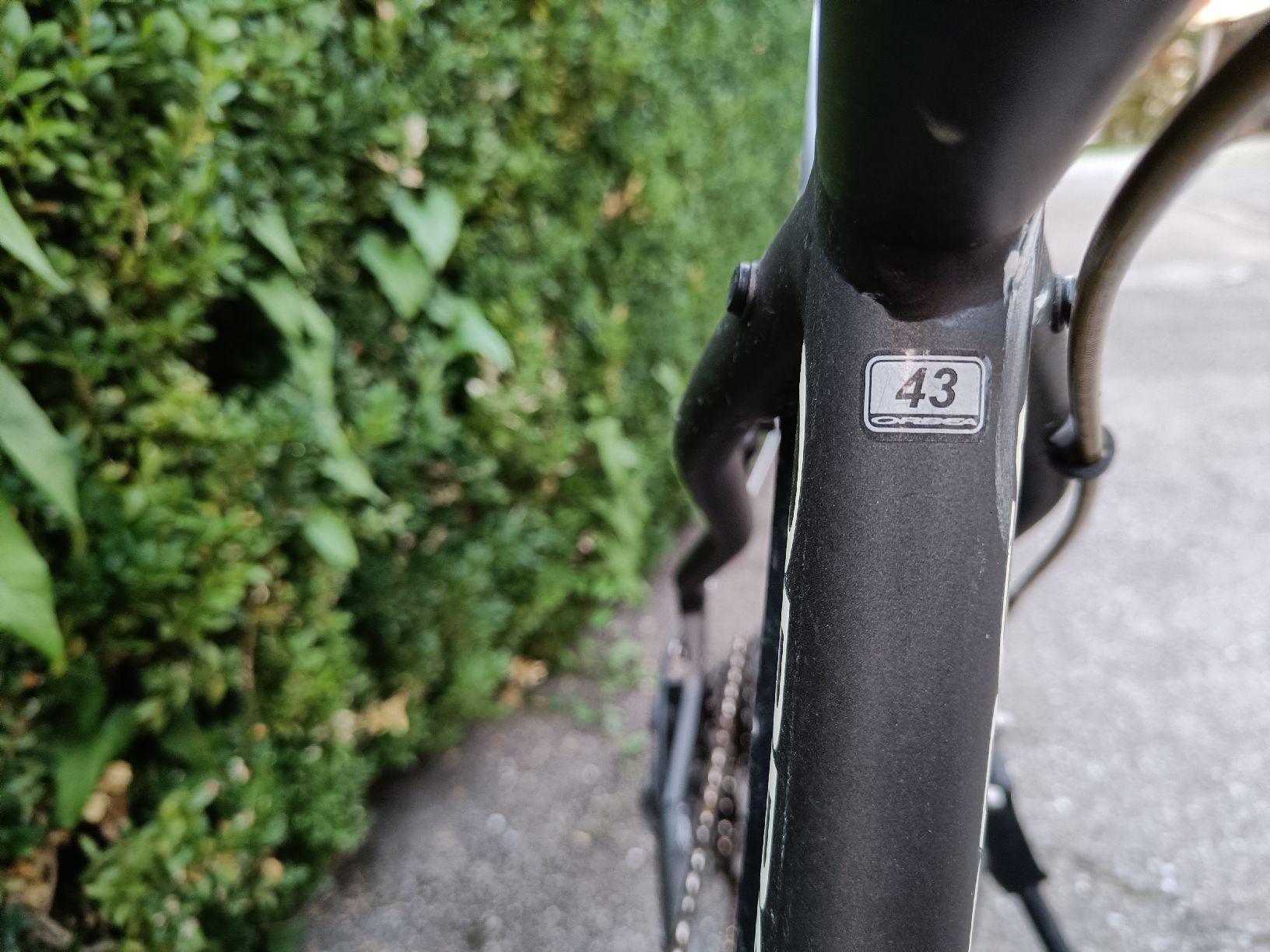 Orbea Biciclette: Orbea Carpe, Rahmengrösse 43 – Usato da Winterthur venduto da Annina1806 4