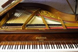 Flügel Pleyel 160