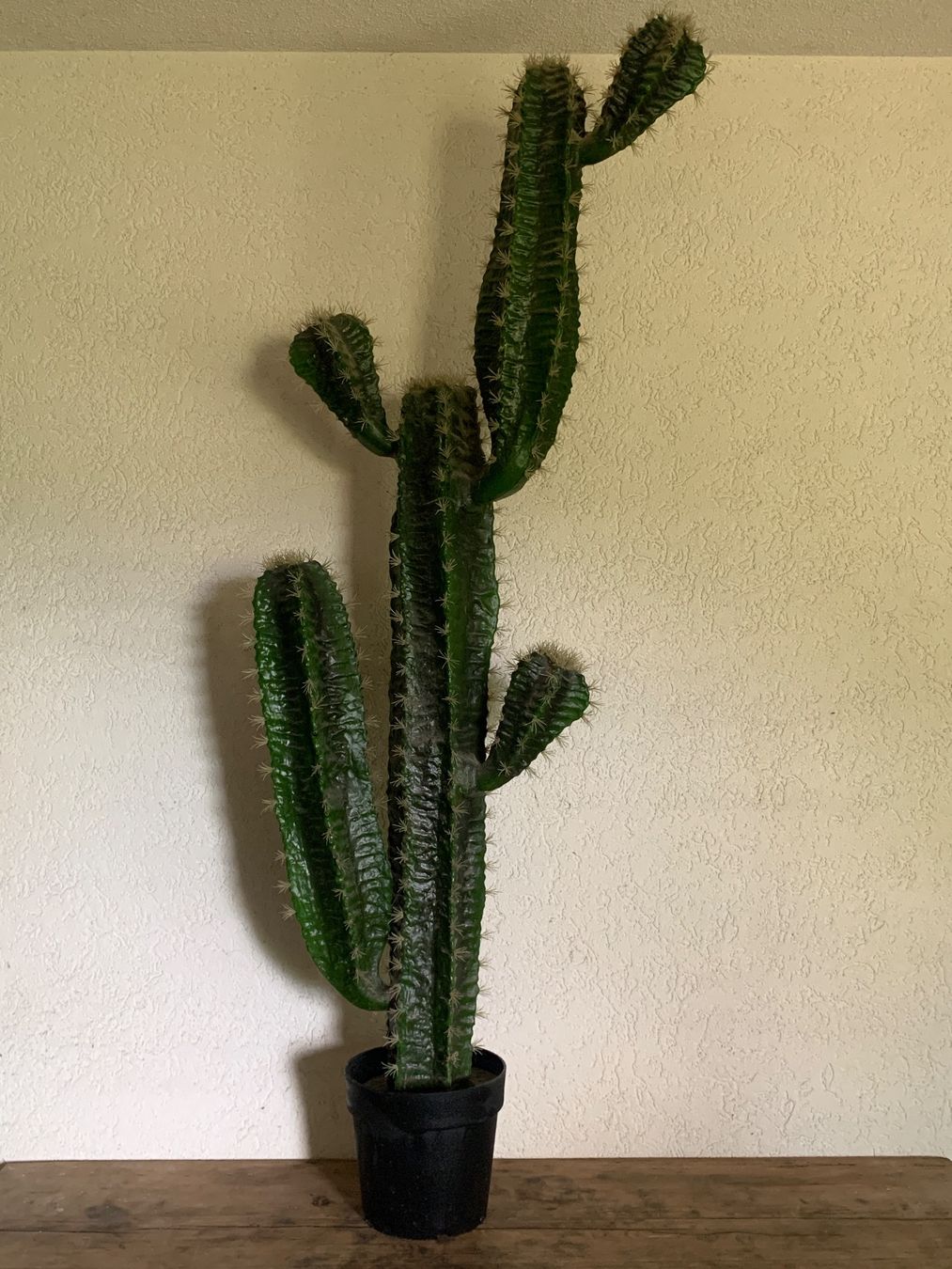 Ikea Alle Dekorationen: Kaktus Ikea Fejka ca. 170cm – Gebraucht aus Vinelz von Ricardo-Jo 1