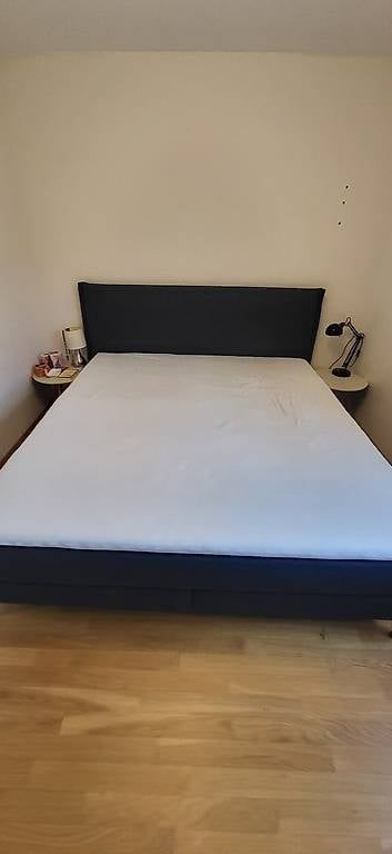 Letti: Boxspringbett Livique Modell Liz – Usato da Alpnach-Dorf venduto da beargrillz124 2