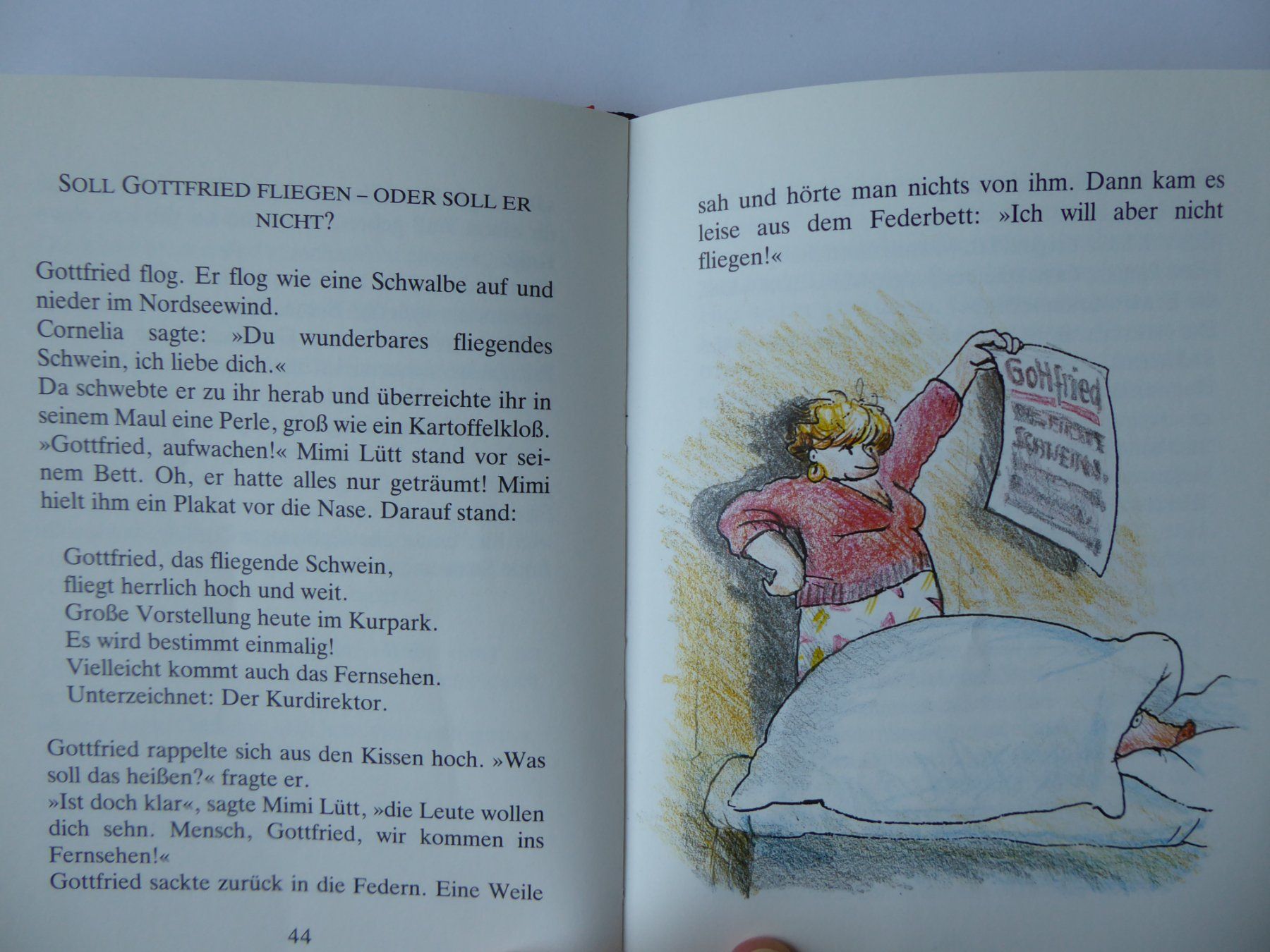 Bücher: Kinderbuch Gottfried das fliegende Schwein, W. Behncke – Gebraucht aus Turbenthal von Panau 3