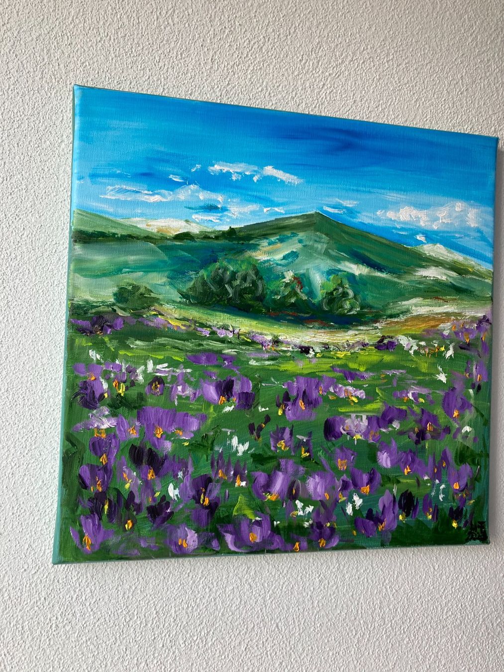 Dipinti: Berglandschaft mit Blumenwiese, Original Ölgemälde – Nuovo (secondo la descrizione) da Cham venduto da Felha 3