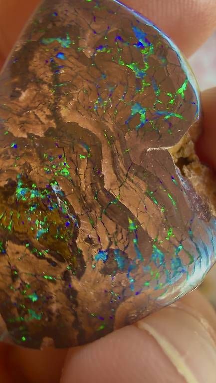 Pierres précieuses: Opal Australien Einzelstück  – D'occasion à Wigoltingen par SANDROPAL 2