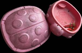 Sandkasten mit Deckel Schildkröte Gratis