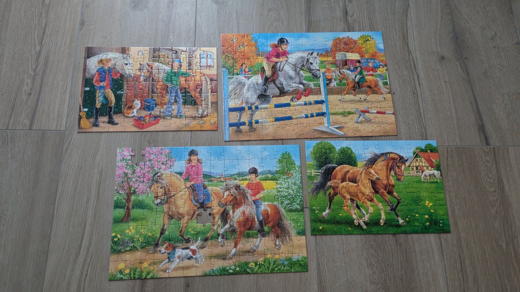 Puzzle: Pferde Puzzlebox - 4 Puzzles – Usato da Staufen venduto da Fleby84