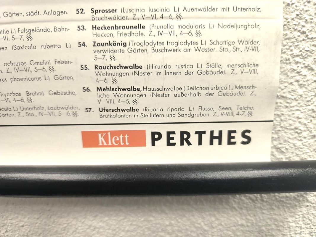 Foto & Immagini: PERTHES - Karte Singvögel – Usato da Rüti ZH venduto da Restwert_Rueti_ZH 1