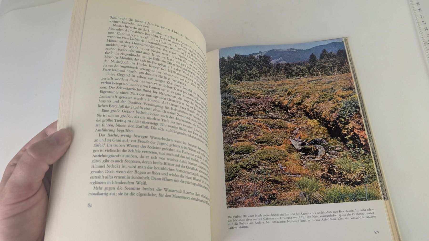 Libri: Schweizer Heimatbücher: Schweizer Naturschutz 1960 – Usato da Zürich venduto da axolottchen 6
