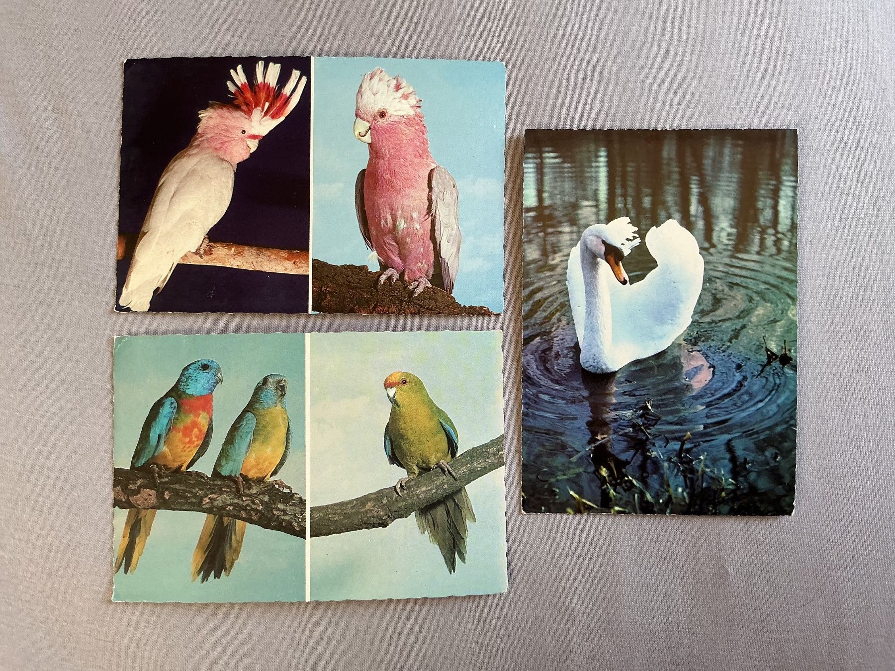 Cartes postales: Postkarten Ansichtskarten von Horst Müller Braunschweig ung. – D'occasion à Stettlen par togram4
