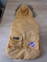 Wattierter Hundemantel mit Kapuze Ocker Rückenlänge 39cm Neu