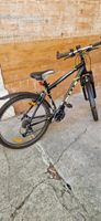 Velo BULLS SPORT 26 zoll