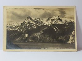 Urirotstock 1912