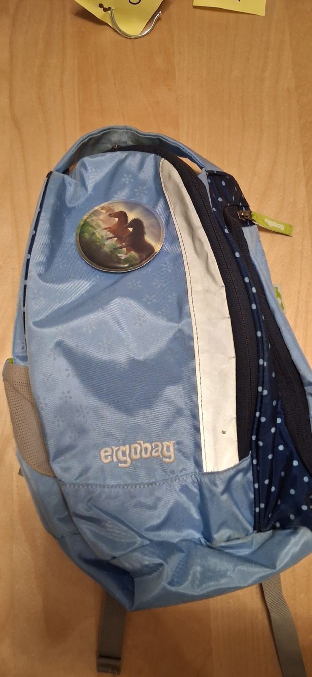 Ergobag Borse & Zaini: Ergobag Rucksack – Usato da Zürich venduto da Pryter