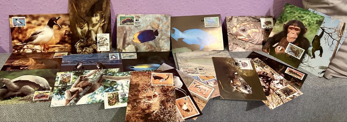 Tutti i francobolli: Lot de 21 cartes maximum – Usato da Petit-Lancy venduto da Pierre_le_voyageur