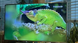 LG 82UM7600, 207 cm, téléviseur 4K