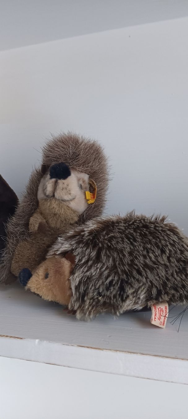 Steiff Giocattoli: STEIFF TIERE  – Usato da Maienfeld venduto da Andyr44 2