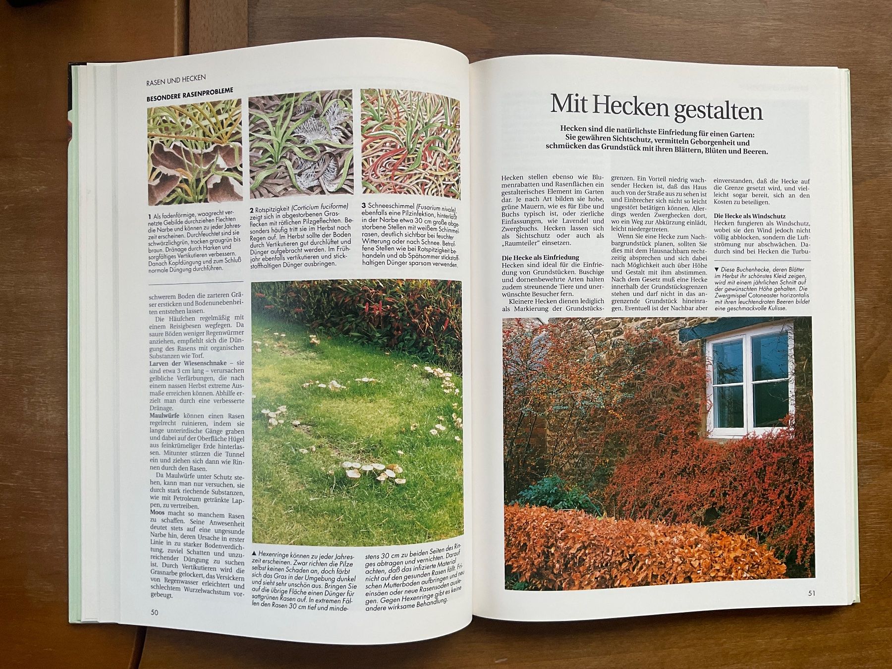 Libri: Gartenarbeit leichtgemacht – Usato da Zürich venduto da tol_b7c7 3