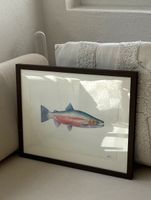 Aquarellbild Forelle/Steelhead gerahmt