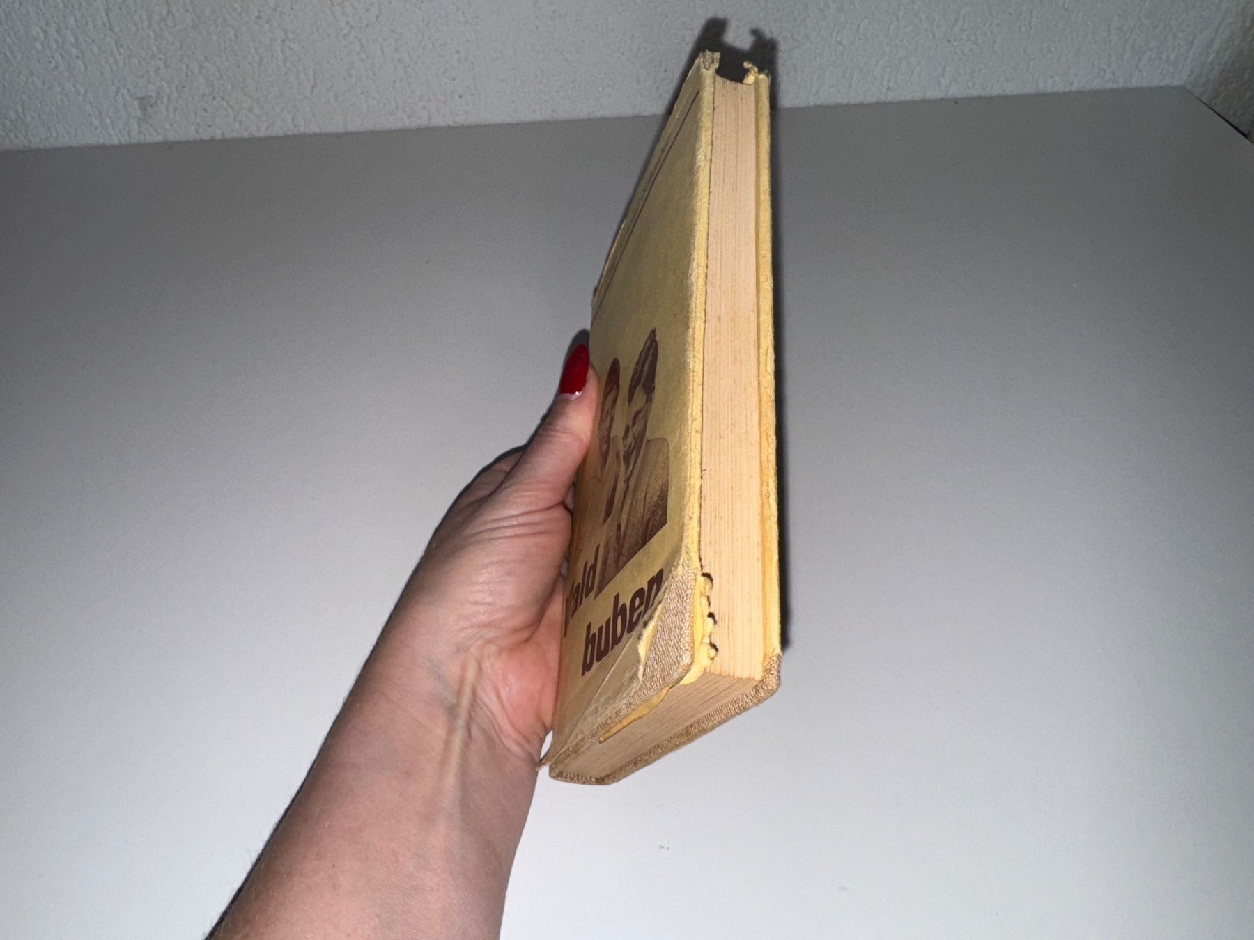 Libri: BUCH: Josef Konrad Scheuber, Waldbuben – Usato da Grosswangen venduto da Second_hand_paradise 1
