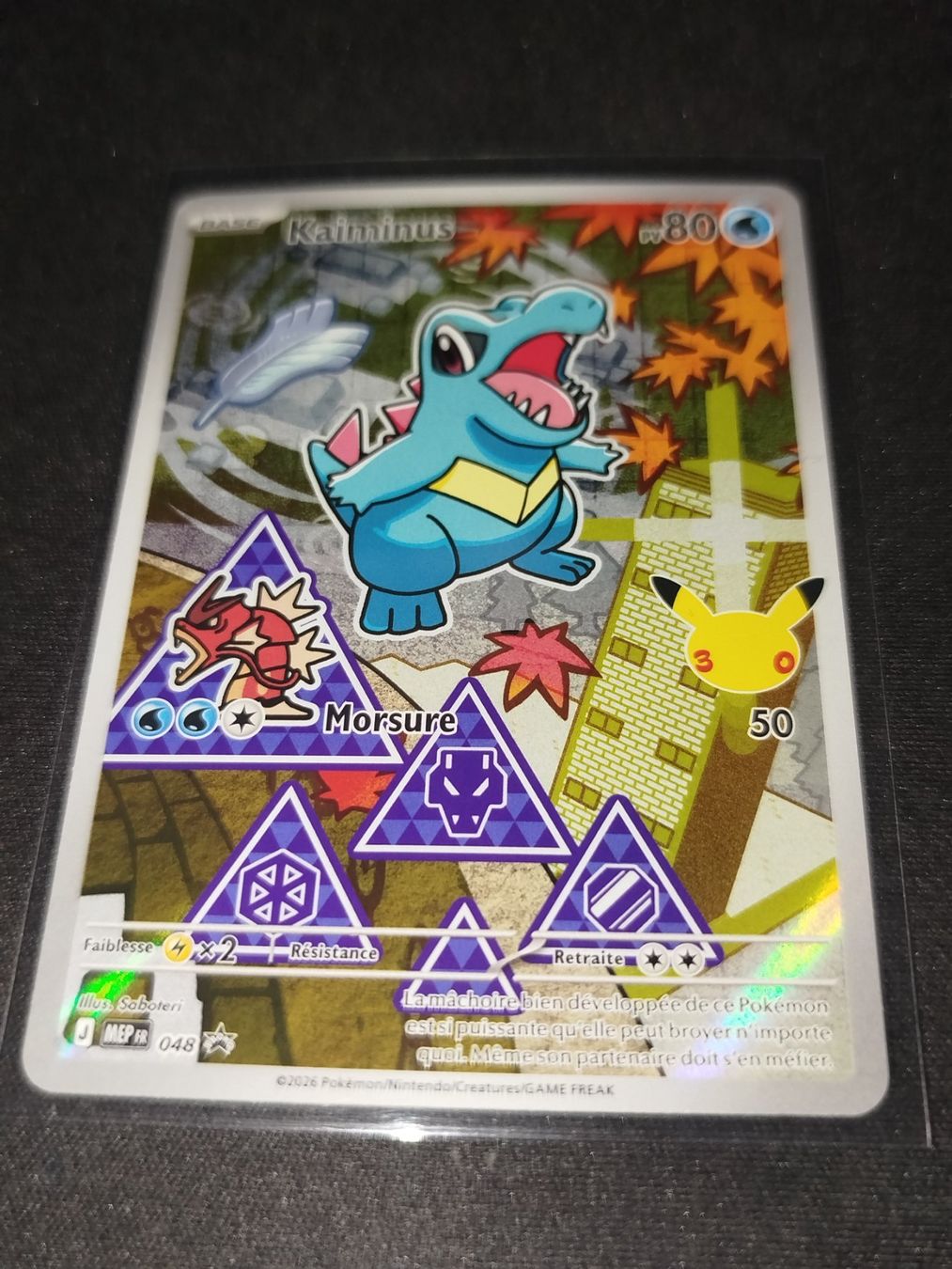 Pokémon Carte collezionabili: Trio 2g 30 ans – Nuovo e nell'imballaggio originale da Aigle venduto da m.13 3