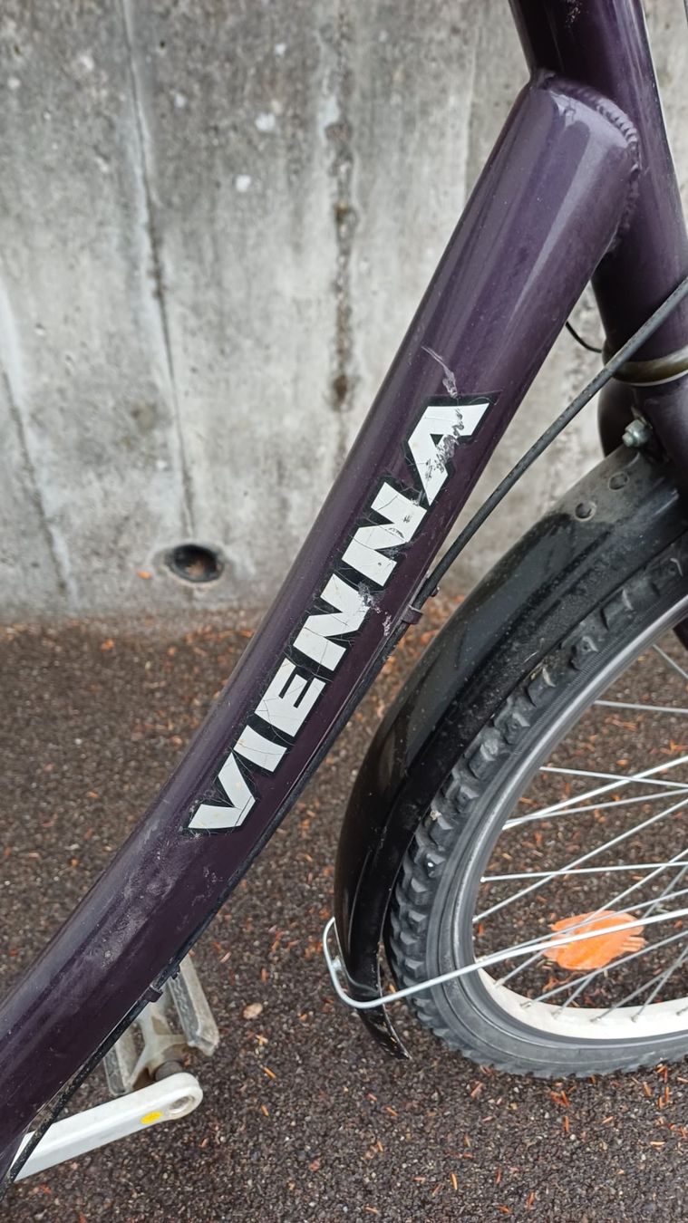 Velos: Velo – Gebraucht aus Bülach von Sandaniele 5