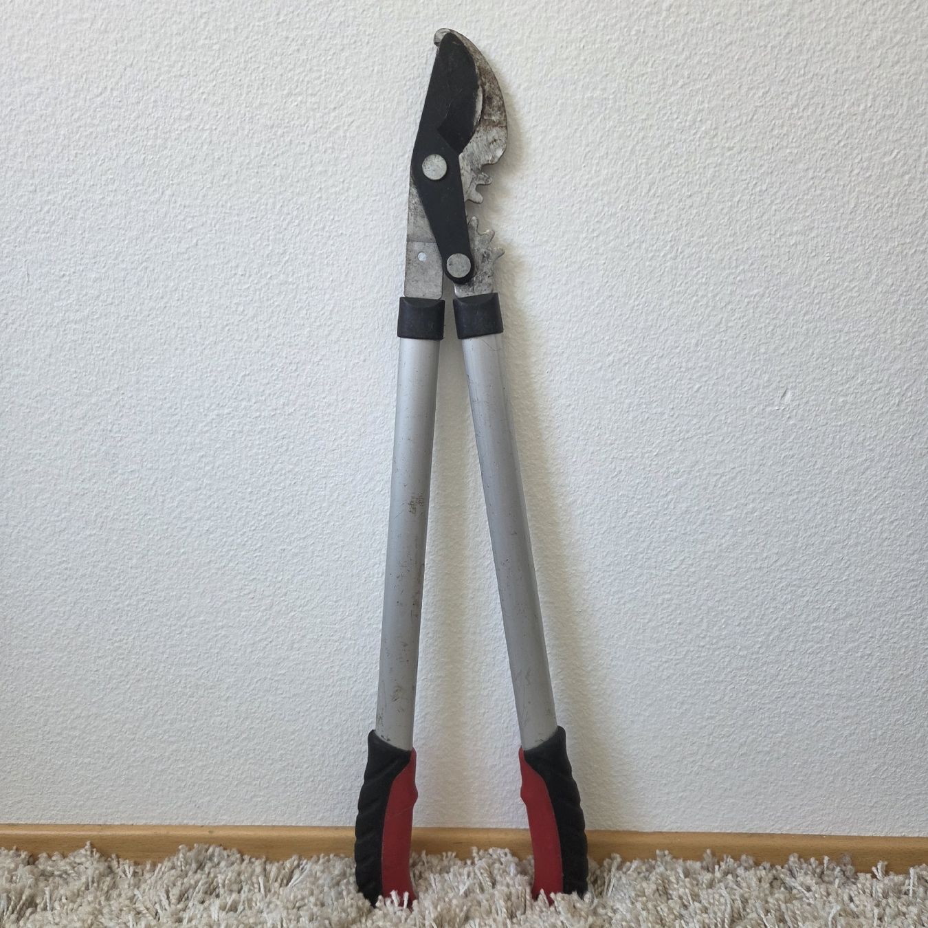 Tous les outils: Astschere – D'occasion à St.Gallen par Its.eli035