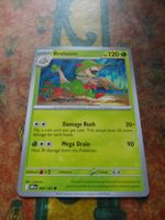 POKEMON  Breloom   I  DRI EN   006/182   HP120   2025