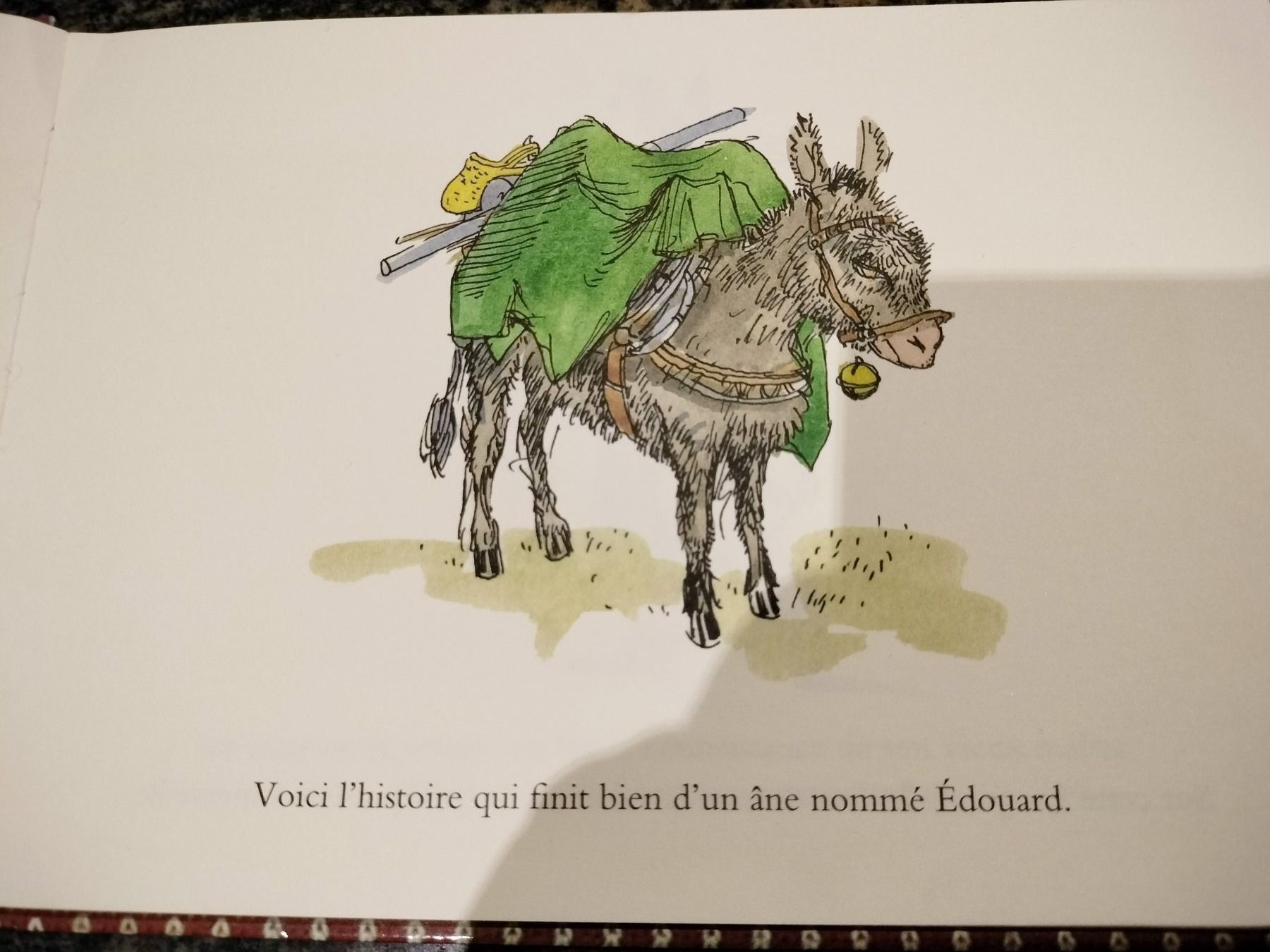 Livres: Histoire D Edouard Par Philippe Dumas dès 6 ans – D'occasion à Cortaillod par rozinna 2