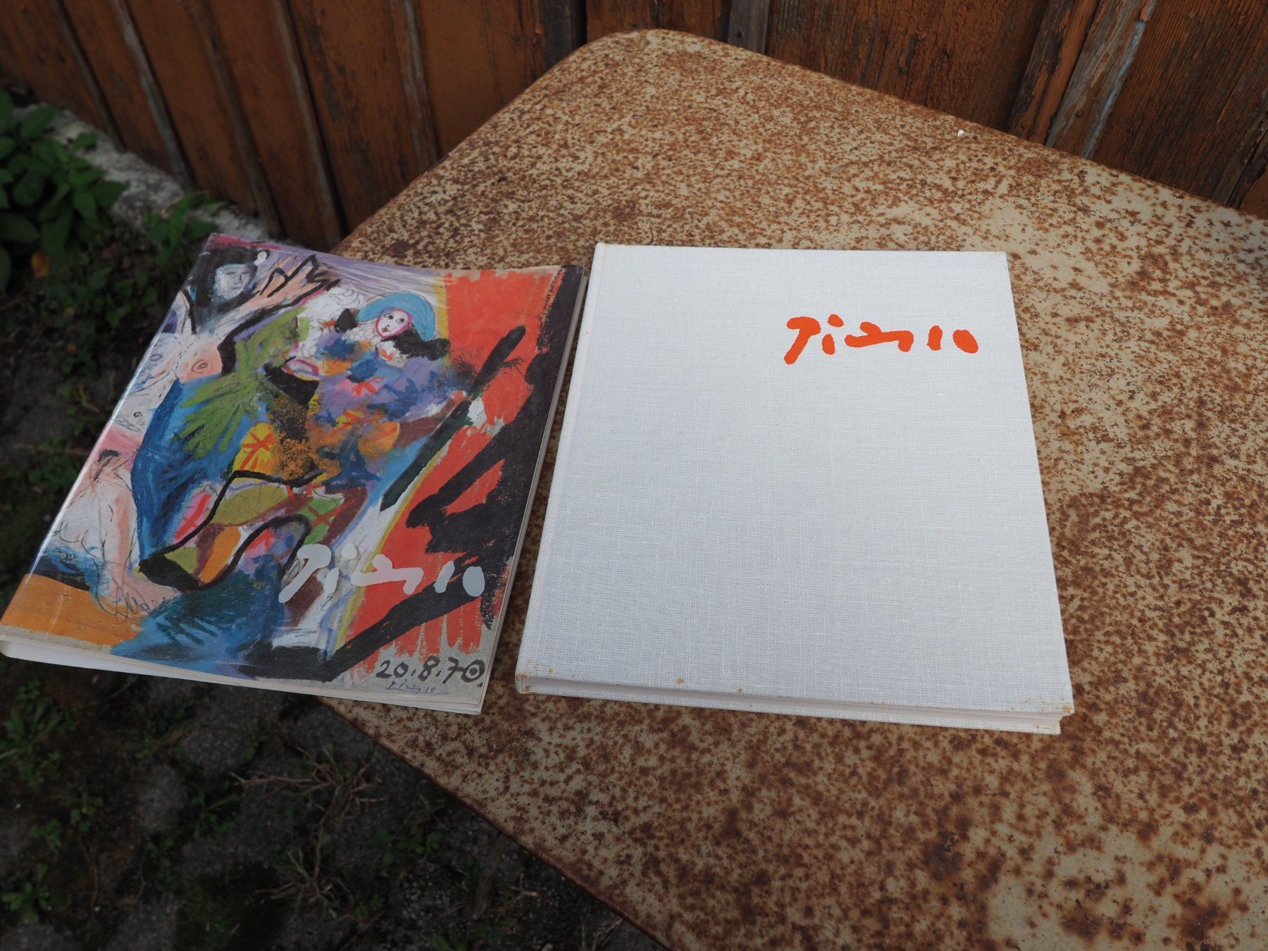 Livres: Picasso Buch – D'occasion à Schänis par Wewu 7