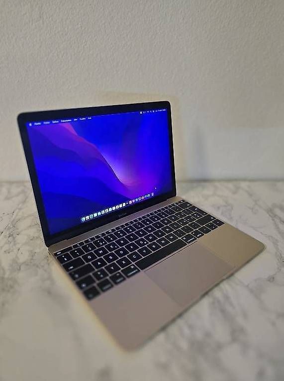 Apple Notebook: MacBook 12" année 2016 -m5 | 8Go RAM | SSD 500Go – Usato da Renens VD venduto da MTD2211 4