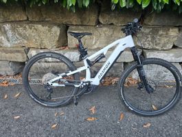 E-Bike Raymon Trailray 120 Ultra: