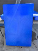 Blaue Hygiene Kunststoffpalette, Top Zustand