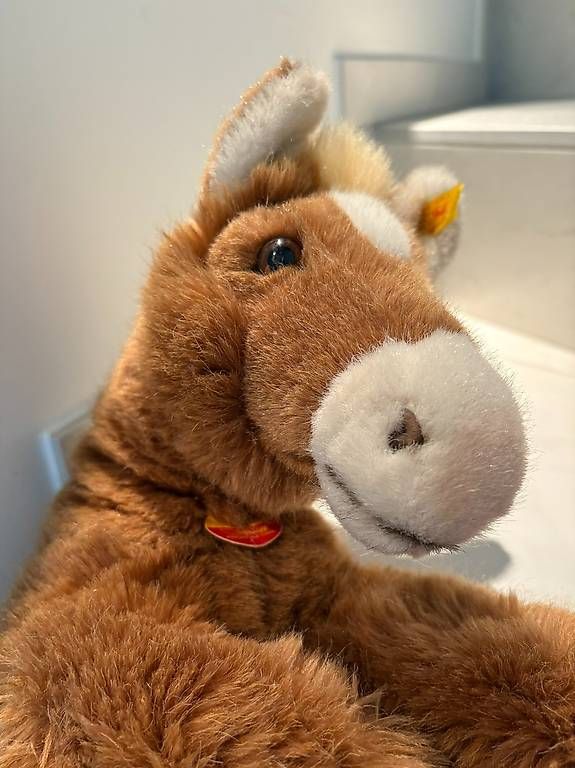 Steiff Spielzeuge: STEIFF Pony Pferd Fohlen Molly – Neu (gemäss Beschreibung) aus Egg b. Zürich von eve_h8pg 2