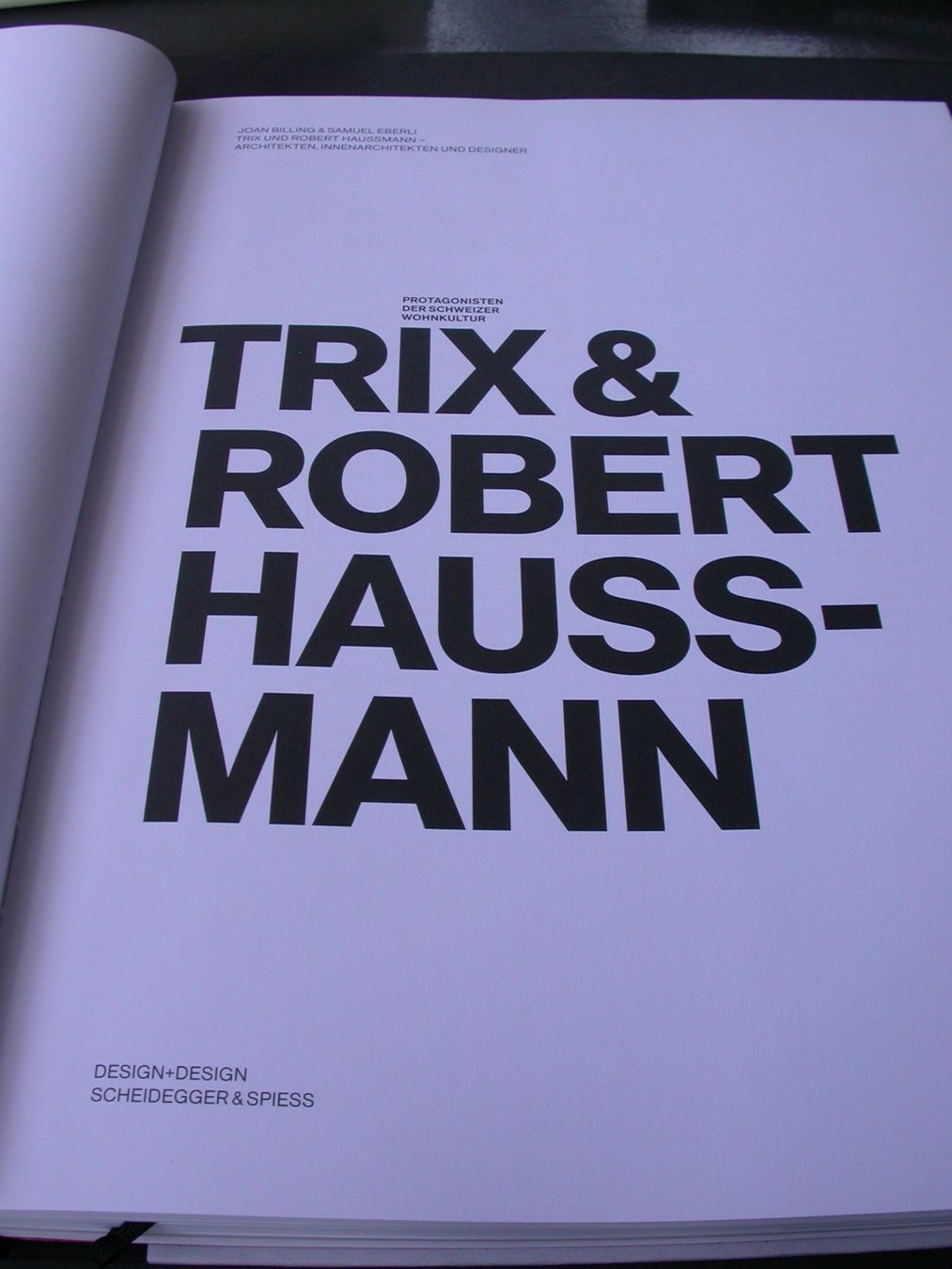 Libri: Trix & Robert Haussmann Protagonisten der Schweiz.Wohnkultur – Usato da Zürich venduto da Marcel6887 1