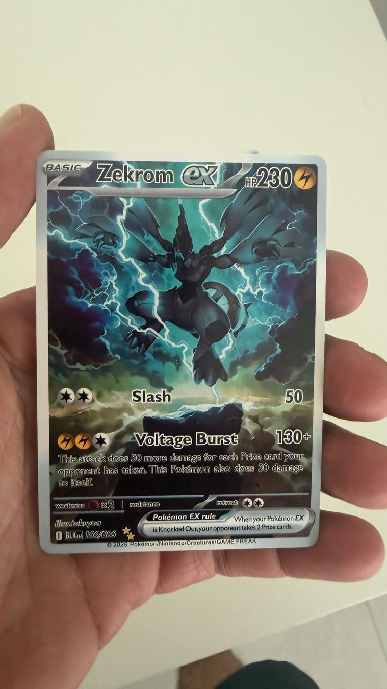 Pokémon Carte collezionabili: Pokemon Zekrom ex 166/086 – Nuovo (secondo la descrizione) da Lugano venduto da fra_pzp9 1