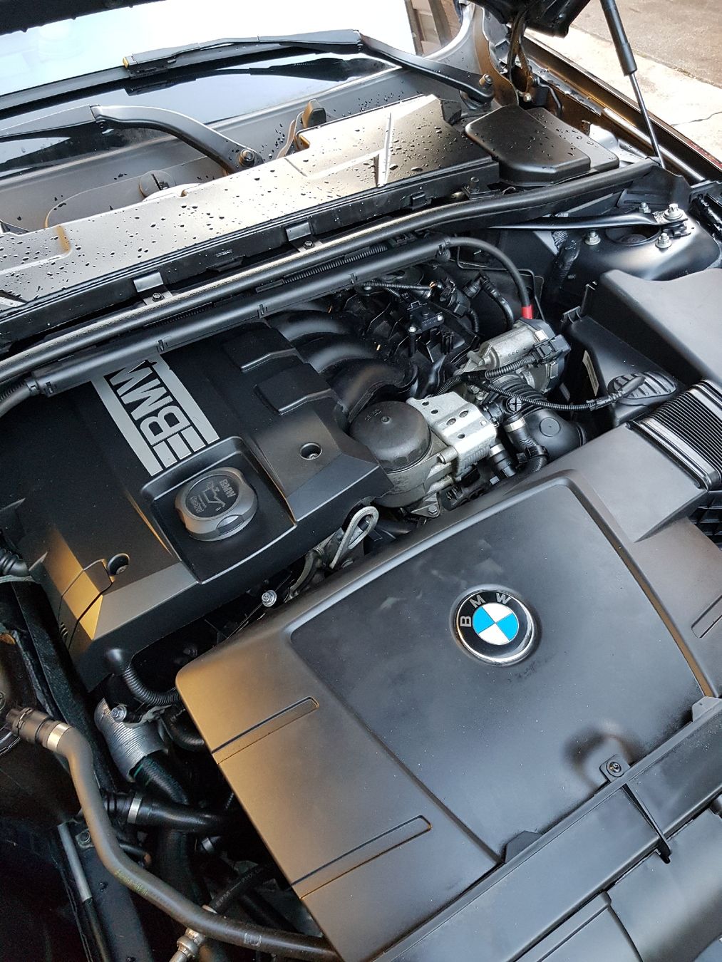 BMW Automobili: BMW 318i Mit MFK – Usato da Wattenwil venduto da Slappy 6