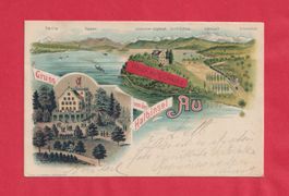 Gruss von der Halbinsel Au (ZH) Künstler Litho Herzog