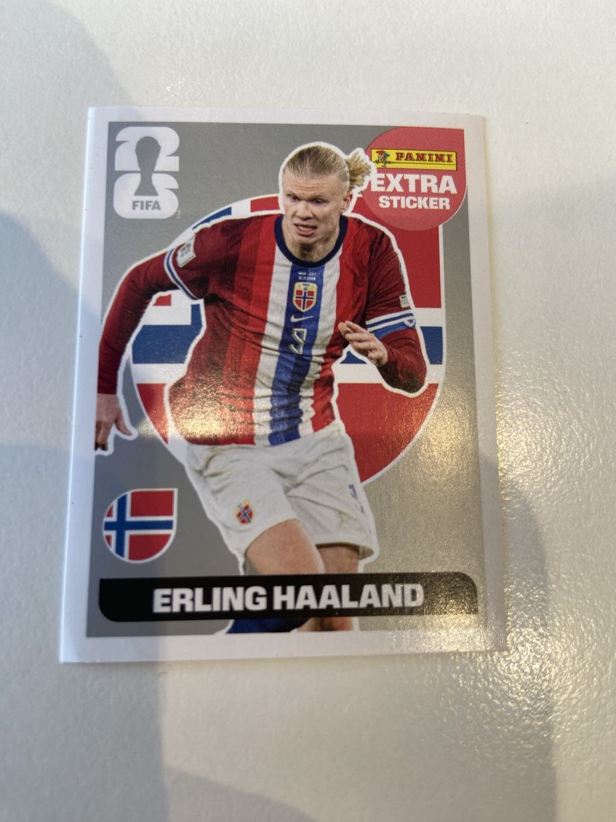 Panini Carte collezionabili: Panini Erling Haaland Sticker Extra Sticker Silber – Nuovo (secondo la descrizione) da Lotzwil venduto da kie_t777