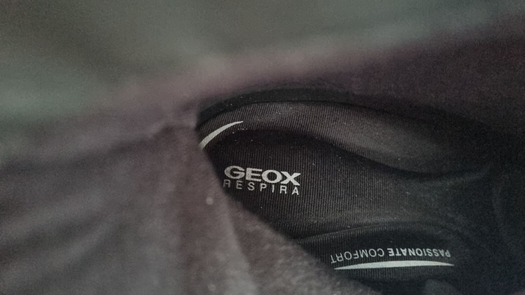 Geox Scarpe da donna: Bottines Geox 41 – Nuovo (secondo la descrizione) da Bévilard venduto da AnnCHUK 6