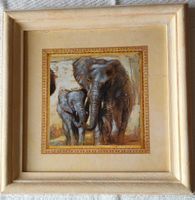 Elefanten Bild