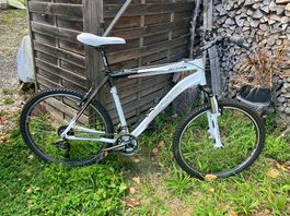 Neuwertiges Mountainbike 24-Gang (Rahmen 54cm)