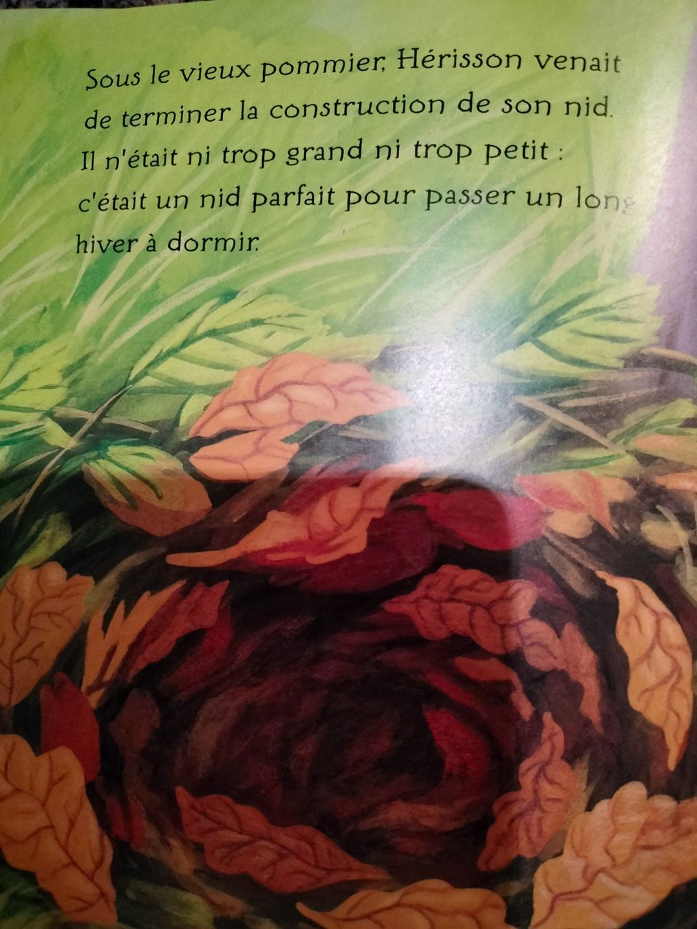 Bücher: La piquante aventure de hérisson – Gebraucht aus Cortaillod von rozinna 1