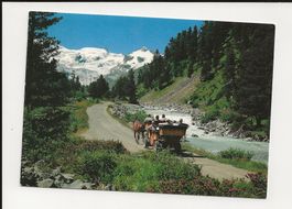 AK 2001 Kutschenfahrt Val Roseg Engadin