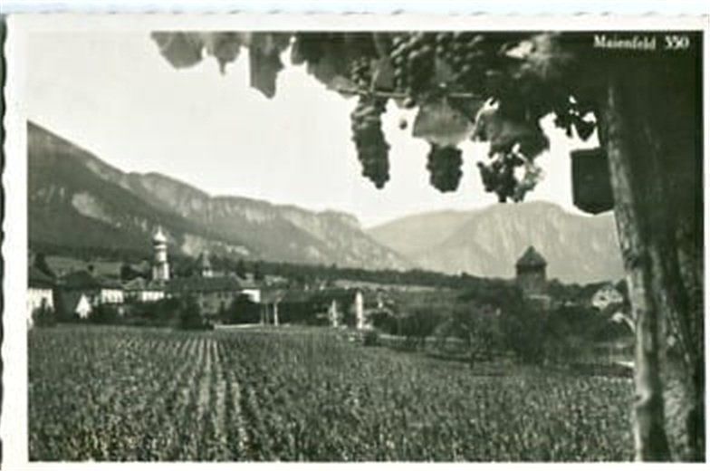Cartes postales: Maienfeld – D'occasion à Ottikon b.Kemptth. par Neptun1974