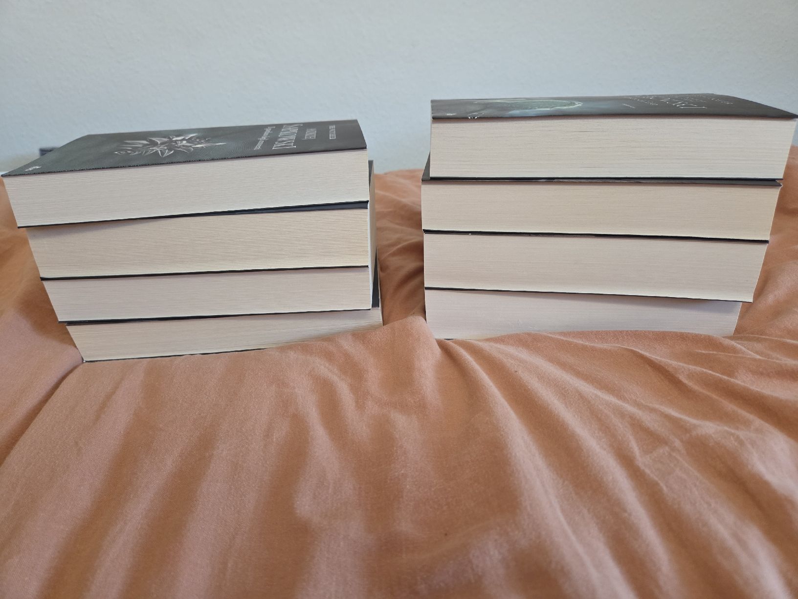 Bücher: The Witcher Andrzej Sapkowski saga completa – Gebraucht aus Nyon von direwolf97 3