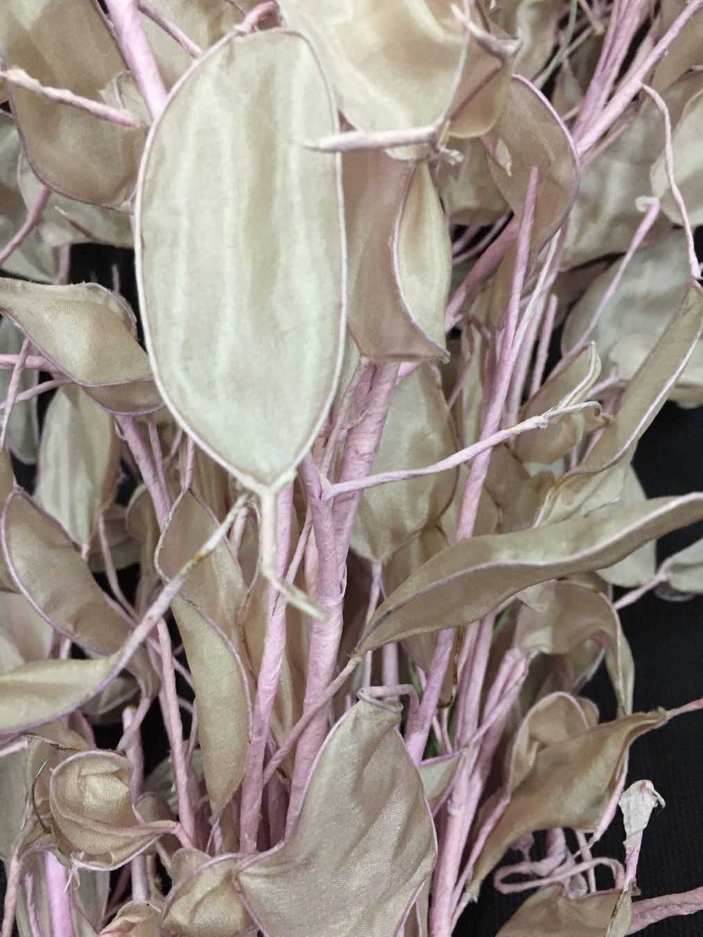 Piante & sementi: Künstliche Blumen / Kunstpflanze – Usato da Schaffhausen venduto da vintageville 4